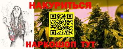 шишки Лесосибирск