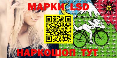 шишки Лесосибирск
