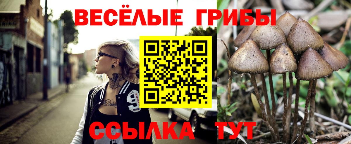 Элиста  Псилоцибиновые грибы Psilocybe  где можно купить   Псилоцибиновые грибы MAGIC MUSHROOMS  Вход с VPN 