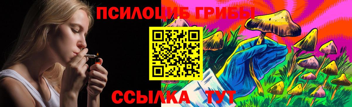 Псилоцибиновые грибы Magic Shrooms Элиста