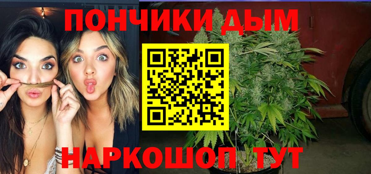 Канабис планчик  Бошки марихуана марихуана  Вход с VPN  Канабис план  Элиста 